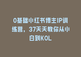 0基础小红书博主IP训练营，37天天教你从小白到KOL868网课-868网课系统868网课系统