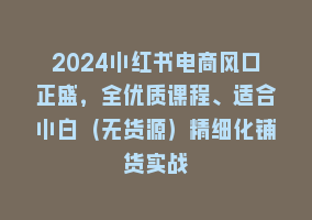 2024小红书电商风口正盛，全优质课程、适合小白（无货源）精细化铺货实战868网课-868网课系统868网课系统