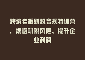 跨境老板财税合规特训营，规避财税风险、提升企业利润868网课-868网课系统868网课系统