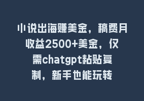 小说出海赚美金，稿费月收益2500+美金，仅需chatgpt粘贴复制，新手也能玩转868网课-868网课系统868网课系统