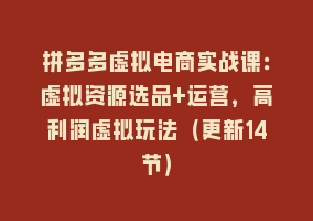 拼多多虚拟电商实战课：虚拟资源选品+运营，高利润虚拟玩法（更新14节）868网课-868网课系统868网课系统