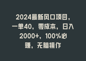 2024最新风口项目，一单40，零成本，日入2000+，100%必赚，无脑操作868网课-868网课系统868网课系统