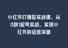 小红书打爆款实战课，从0到1起号实战，实现小红书的运营突破868网课-868网课系统868网课系统