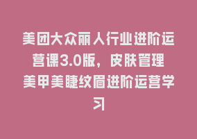 美团大众丽人行业进阶运营课3.0版，皮肤管理美甲美睫纹眉进阶运营学习868网课-868网课系统868网课系统