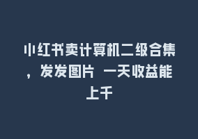 小红书卖计算机二级合集，发发图片 一天收益能上千868网课-868网课系统868网课系统