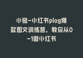 小铭-小红书plog爆款图文训练营，教你从0-1做小红书868网课-868网课系统868网课系统