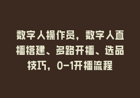 数字人操作员，数字人直播搭建、多路开播、选品技巧，0-1开播流程868网课-868网课系统868网课系统