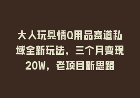 大人玩具情Q用品赛道私域全新玩法，三个月变现20W，老项目新思路868网课-868网课系统868网课系统