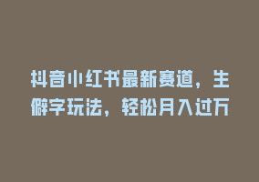 抖音小红书最新赛道，生僻字玩法，轻松月入过万868网课-868网课系统868网课系统