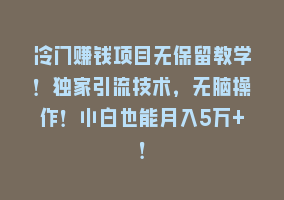 冷门赚钱项目无保留教学！独家引流技术，无脑操作！小白也能月入5万+！868网课-868网课系统868网课系统