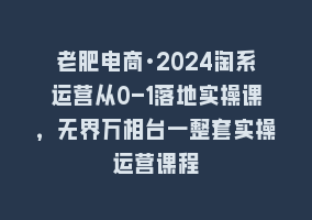 老肥电商·2024淘系运营从0-1落地实操课，无界万相台一整套实操运营课程868网课-868网课系统868网课系统