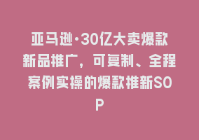 亚马逊·30亿大卖爆款新品推广，可复制、全程案例实操的爆款推新SOP868网课-868网课系统868网课系统