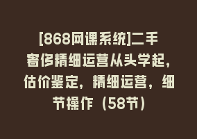 [868网课系统]二手奢侈精细运营从头学起，估价鉴定，精细运营，细节操作（58节）868网课-868网课系统868网课系统