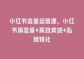 小红书流量运营课，小红书搞流量+高效卖货+私域转化868网课-868网课系统868网课系统