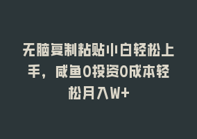 无脑复制粘贴小白轻松上手，咸鱼0投资0成本轻松月入W+868网课-868网课系统868网课系统