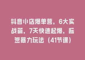 抖音小店爆单营，6大实战篇，7天快速起爆，标签暴力玩法（41节课）868网课-868网课系统868网课系统