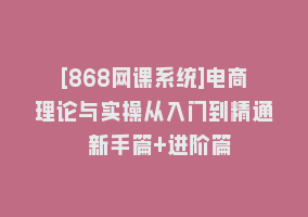 [868网课系统]电商理论与实操从入门到精通 新手篇+进阶篇868网课-868网课系统868网课系统