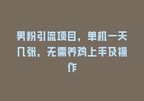 男粉引流项目，单机一天几张，无需养鸡上手及操作868网课-868网课系统868网课系统