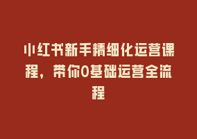 小红书新手精细化运营课程，带你0基础运营全流程868网课-868网课系统868网课系统