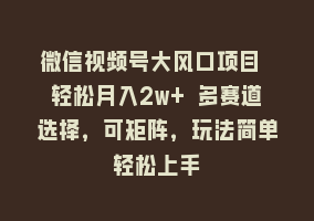 微信视频号大风口项目 轻松月入2w+ 多赛道选择，可矩阵，玩法简单轻松上手868网课-868网课系统868网课系统