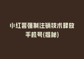 小红薯强制注销技术释放手机号(揭秘)868网课-868网课系统868网课系统