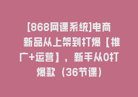 [868网课系统]电商 新品从上架到打爆【推广+运营】，新手从0打爆款（36节课）868网课-868网课系统868网课系统