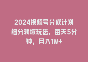 2024视频号分成计划细分领域玩法，每天5分钟，月入1W+868网课-868网课系统868网课系统