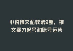 小说推文私教第9期，推文暴力起号和账号运营868网课-868网课系统868网课系统