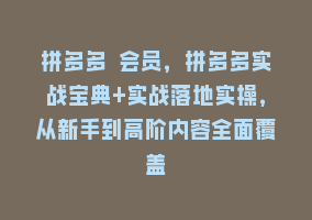 拼多多 会员，拼多多实战宝典+实战落地实操，从新手到高阶内容全面覆盖868网课-868网课系统868网课系统