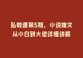 私教课第5期，小说推文从小白到大佬详细讲解868网课-868网课系统868网课系统