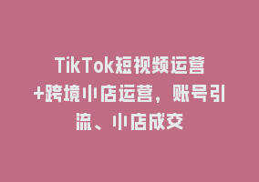 TikTok短视频运营+跨境小店运营，账号引流、小店成交868网课-868网课系统868网课系统