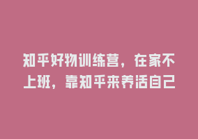 知乎好物训练营，在家不上班，靠知乎来养活自己868网课-868网课系统868网课系统