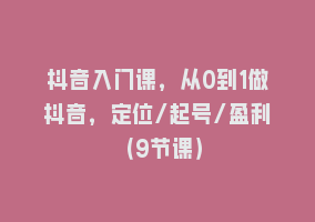 抖音入门课，从0到1做抖音，定位/起号/盈利（9节课）868网课-868网课系统868网课系统