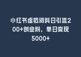 小红书虚拟资料日引流200+创业粉，单日变现5000+868网课-868网课系统868网课系统