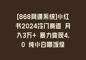 [868网课系统]小红书2024冷门赛道 月入3万+ 暴力变现4.0 纯小白喂饭级868网课-868网课系统868网课系统