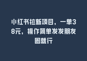 小红书拉新项目，一单38元，操作简单发发朋友圈就行868网课-868网课系统868网课系统