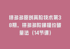 拼多多原创高阶技术第38期，拼多多阶梯提价破量法（14节课）868网课-868网课系统868网课系统