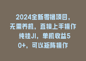 2024全新零撸项目，无需养机，直接上手操作 纯挂JI，单机收益50+，可以矩阵操作868网课-868网课系统868网课系统