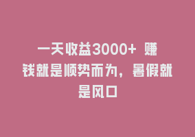 一天收益3000+ 赚钱就是顺势而为，暑假就是风口868网课-868网课系统868网课系统