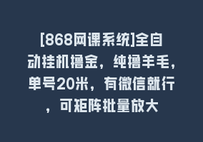 [868网课系统]全自动挂机撸金，纯撸羊毛，单号20米，有微信就行，可矩阵批量放大868网课-868网课系统868网课系统