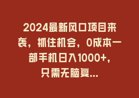 2024最新风口项目来袭，抓住机会，0成本一部手机日入1000+，只需无脑复…868网课-868网课系统868网课系统