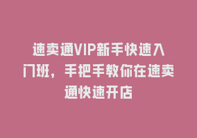 速卖通VIP新手快速入门班，手把手教你在速卖通快速开店868网课-868网课系统868网课系统