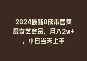 2024最新0成本售卖爱奇艺会员，月入2w+，小白当天上手868网课-868网课系统868网课系统