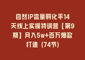 自然IP流量孵化手14天线上实操特训营【第9期】月入5w+百万爆款打造 (74节)868网课-868网课系统868网课系统