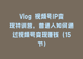 Vlog 视频号IP变现特训营，普通人如何通过视频号变现赚钱（15节）868网课-868网课系统868网课系统