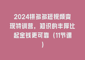 2024拼多多短视频变现特训营，知识的丰厚比起金钱更可靠（11节课）868网课-868网课系统868网课系统