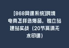 [868网课系统]跨境电商怎样选爆品，独立站建站实战（20节高清无水印课）868网课-868网课系统868网课系统