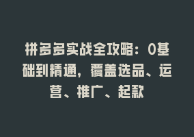 拼多多实战全攻略：0基础到精通，覆盖选品、运营、推广、起款868网课-868网课系统868网课系统