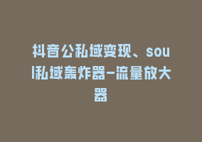 抖音公私域变现、soul私域轰炸器-流量放大器868网课-868网课系统868网课系统