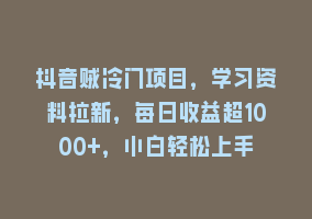 抖音贼冷门项目，学习资料拉新，每日收益超1000+，小白轻松上手868网课-868网课系统868网课系统